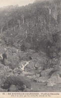 Océanie - Nouvelle-Calédonie - Précurseur - Forêt De Naioulis -  N° 59 - Nouvelle-Calédonie