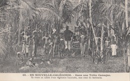 Océanie - Nouvelle-Calédonie - Précurseur - Tribu Canaque Guerriers - Nu - N° 48 - Nouvelle-Calédonie