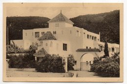 Algérie--BLIDA--L'Hôtel  Du Rocher Des Singes  N°380 éd La Cigogne--cachet Militaire Au Verso...à Saisir - Blida