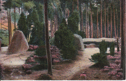 AK Künstlerkarte - Felsen Im Wald - Feldpost - 1917 (28201) - 1900-1949