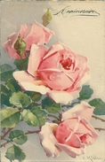 ILLUSTRATEUR CATHARINA KLEIN AMOUR DES FLEURS - Klein, Catharina