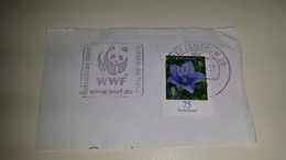 W.W.F. Panda ANIMAL Animals FAUNA WWF Cancel Annullo GERMANY DEUTSCHLAND ALLEMAGNE GERMANIA - Lettres & Documents