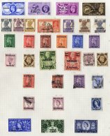 BRITISH COMMONWEALTH M & U Collection On Leaves From Aden & Bahrain 1937-63, Australia 1913-2000, Palestine 1918 - Other & Unclassified