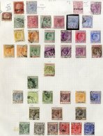 CYPRUS, GIBRALTAR & MALTA 1880's-1970's M & U Collection On Leaves. (100's) - Altri & Non Classificati