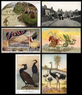 COLLECTION Of Cards In An Old Album Incl. Animals, Bird, Bull Fighting, Comic, Flowers, Historical Railway Engines, Roya - Unclassified