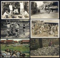 PHILIPPINES Selection Of Cards With A Good Variety Incl. Bone Yard Paco Cemetery, 1918 - The Dog Market (RP), Cock Fight - Sin Clasificación