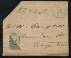 1879 (21st Nov) Large Piece Addressed To George Town Franked 4c Blue Perf 10 Bisected Diagonally & Tied By 'A03' Obl - Sonstige & Ohne Zuordnung