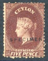 1863-66 5d Red-brown Perf 12½, Hand Stamped 'SPECIMEN' (Type D5), Unused, A Few Short Or Pulled Perfs O/w Fine. R - Sonstige & Ohne Zuordnung