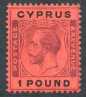 1924-28 MCCA £1 Purple & Back/red Fine M, SG.102. Cat. £300 (1) - Sonstige & Ohne Zuordnung