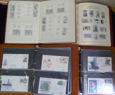 FRENCH SOUTHERN & ANTARCTIC TERRITORIES 1955-2012 Substantial UM Collection Housed In A Lighthouse Hingeless Album ( - Sonstige & Ohne Zuordnung