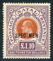 1904-08 MCCA £1.10s Brown-orange & Deep Purple Optd Specimen, Some Minor Gum Tone Spots. SG.162s. Cat. £ - Sonstige & Ohne Zuordnung