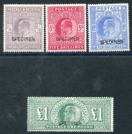 1902 2/6d, 5s, 10s & £1, Each Optd SPECIMEN Type 16, Fine M (£1 Value Has Minor Scuffs). - Other & Unclassified