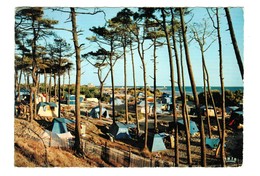 15352  CPM : LA TAMARISSIERE  : Le Terrainde Camping  , Carte Photo 1970 , ACHAT DIRECT  !!! - Autres Communes