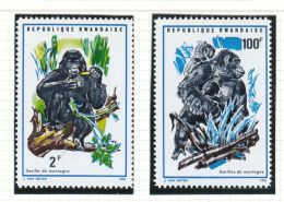 Rwanda YT  370/7 ** : Gorilles Des Montagnes - 1970 - Gorilles