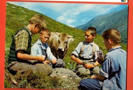 IBH-27 Hirtenknaben Beim Jass. Jeunes Bergers Jouant Aux Cartes, Vache. Humour. Nicht Gelaufen. GRoss Format - Berg