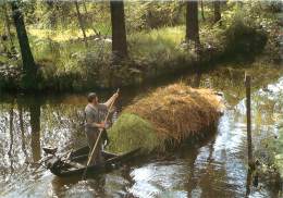 CPM - IM SPREEWALD - Burg (Spreewald)