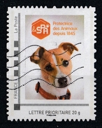 Collector S.P.A. Chiens Et Chats 2015 - Collectors