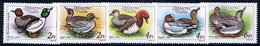 HUNGARY 1988 Wild Ducks MNH / **.  Michel 3972-76 - Unused Stamps