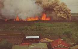 Kapoho Hawai'i Lava Approaches Town 1960 Eruption, C1960s Vintage Postcard - Hawaï