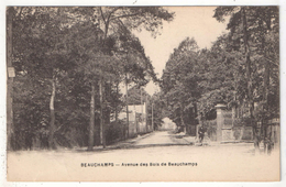 95 - BEAUCHAMP - Avenue Des Bois De Beauchamps - Beauchamp