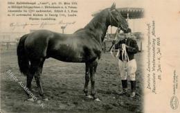 Pferd Wanderausstellung München 1905 I-II (fleckig) - Cavalli