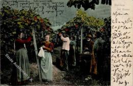 Wein Weinlese Bei Bozen 1906 I-II Vigne - Ohne Zuordnung
