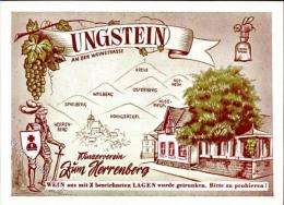 Wein Ungstein (6702) Winzerverein Zum Herrenberg Biene Künstlerkarte I-II Vigne - Non Classés