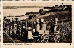 Wein Meersburg (7758) Weinlese Beim Wetterkreuz Foto AK I-II Vigne - Ohne Zuordnung