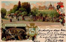 Landwirtschaft Obernburg (8753) Obstverwertungs Genossenschaft Lithographie 1900 I-II Paysans - Non Classés