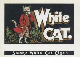 Tabak / Rauchen Zigarrenkisten Etiketten Ca. 22 X 15,5 Cm White Cat Golddruck Litho Geprägt I-II - Non Classificati