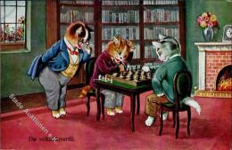 Schach Katzen Personifiziert Künstlerkarte I-II (Ecke Abgestossen) Chat - Schach