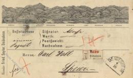 Deidesheim Paketbegleidbrief Aus Der Kreuzerzeit 1860/1870 Extrem Selten R!R!R! - Non Classificati