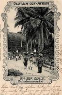 Kolonien Deutsch-Ostafrika An Der Quelle Oelpalmenpartie RS Stpl. Dar-es-Salam Deutsch Ostafrika I-II Colonies - Non Classificati