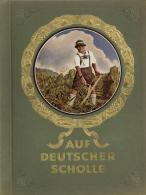 Sammelbild-Album Auf Deutscher Scholle Hans Von Der Nordmark 1933 Kompl. II - Non Classificati