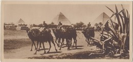 Egypt, Near The Pyramids, People And Camels, Postcard [19967] - Pyramids