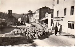 CPSM Dentelée - AURIOL (13) - Aspect De La Place Charles Adrien Et De La Fabrique De Meubles En Rotin Dans Les Années 50 - Auriol