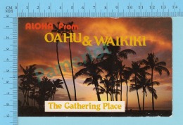 OAHU USA- Aloha From Oahu & Waikiki The Gatering Place - 2 Scans - Oahu