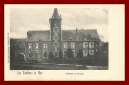 Belgique  Les Environs De Huy Chateau De Hekin ( Scan Recto Et Verso ) - Hoei