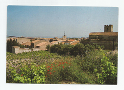 Aude - 11 - Lapalme Le Village Avec Son Vignoble - Otros & Sin Clasificación