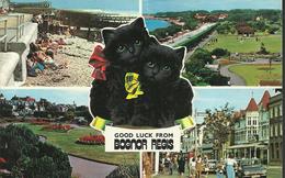 Good Luck From Bognor Regis - Carte 14 X 9 - Bognor Regis