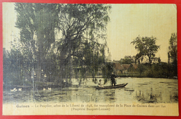 CPA Toilée 62 PAS-DE-CALAIS GUINES  Peuplier Marais Arbre De La Liberté Bacquet-Lamare  Ed DELHAYE Guines 1908 - Guines