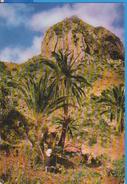 GOMERA SPAIN POSTCARD UNUSED - Gomera