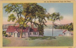 Massachusetts Cape Cod An Old Homestead 1952 Curteich - Cape Cod