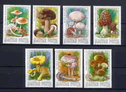 1984 Hungary MNH Mushrooms / Setas / Champignons / Pilze / Hongos - Mushrooms