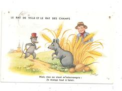 Rats  Humanisé-(B.8433) - Animaux Habillés