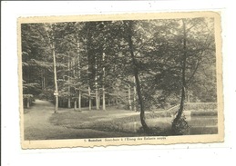 Boitsfort Sous Bois à L'étang Des Enfants Noyés Watermael ( No 5 ) - Watermaal-Bosvoorde - Watermael-Boitsfort