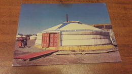 Postcard - Mongolia    (31149) - Mongolia