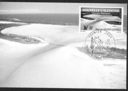 NOUVELLE CALEDONIE CARTE MAXI 1ER JOUR NOUMEA 13 Fev 1991 Neuf - Cartas & Documentos