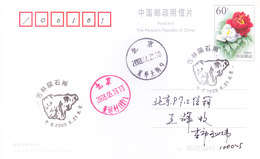 CHINA OFFICIAL POST CARD 2003 - SPECIAL CANCELLATION - Briefe U. Dokumente