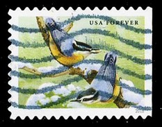 Etats-Unis / United States (Scott No.5129 - Oiseaux Chanteurs / Songbirds In Snow) (o) P3 - Usados